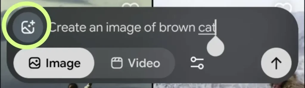 uploaded image to photo